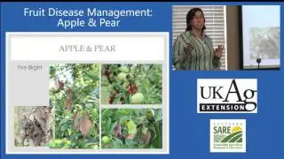 Fruit Disease Management, Part 1: Apple & Pear