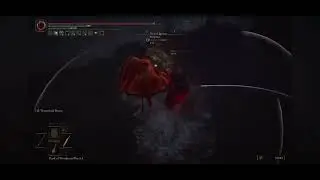Elden Ring PVP: lvl 300 Dex build