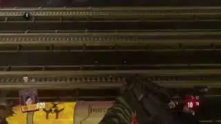 Found new dog glitch carrier