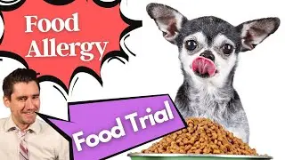 Does your dog have a food Allergy?  If so, do a food trial!  Dr. Dan explains.