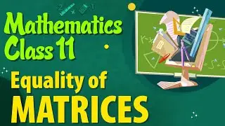 Equality of Matrices - Matrices Class 11 - Class 11 Mathematics