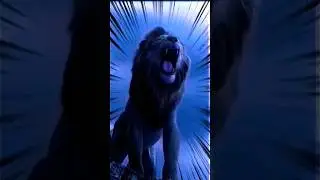 hai sher e Khuda#mera Mola Haider Haider#viral #shorts#shortvideo