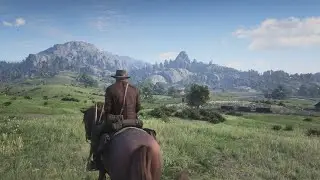 Red Dead Redemption 2 | Free Roam Gameplay [NO HUD]