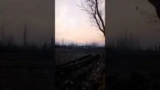 Bundh