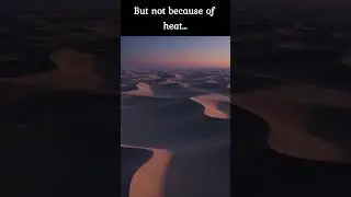 This Is Why the Desert Is Deadlier at Night #shorts  #education  #animation #biology #survival #quiz