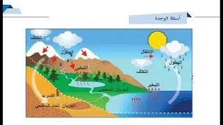 اسئلة الوحدة (عناصر الحالة الجوية) + حل التدريبات| الصف السابع |علوم |الوحدة الرابعة | الدرس الثالث
