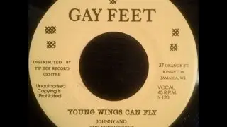 Johnny and The Attractions - Young Wings Can Fly