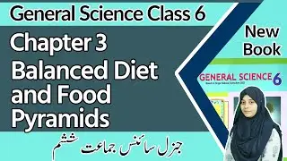 Class 6 Science Chapter 3 - Balanced Diet and Food Pyramids - 6th Class General Science Chapter 3