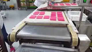 셔틀 컨베이어