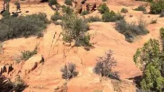 Snow Canyon State Park Hike - Utah