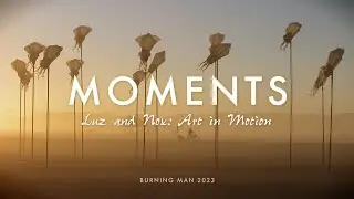 Moments: Luz and Nox — Art in Motion (Black Rock City 2023)