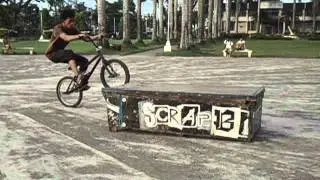 chr5