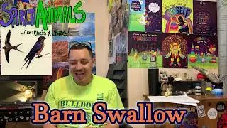 Barn Swallow | Symbolism & Possible Spiritual Meaning of Seeing | Spirit Animals w/ Chris Chaos