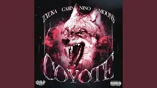 COYOTE