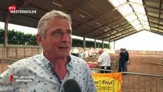 Texelse Schapenkeuring in Blijham