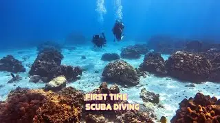 10 Year old Learns to Padi Junior Scuba Dive First Dive