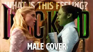 what is this feeling? (male cover)