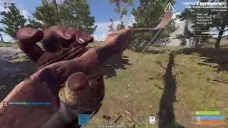 Matando tiesos Rust