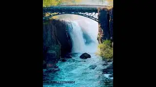 | William Paterson university | Rise Paterson | Paterson Nj | Paterson | Paterson Joseph |