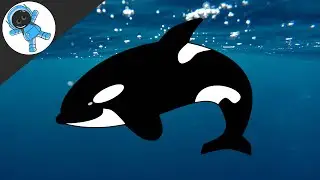 Orca Odyssey: Discovering the Majestic World of Killer Whales for Kids