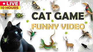 🔴 24/7 LIVE ★ CAT GAMES ★ ULTIMATE BUG COMPILATION | 10 HOURS OF RELAXING FUN FOR CATS!