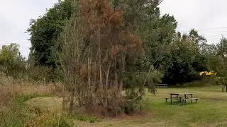15 April 2022 Riddells Creek
