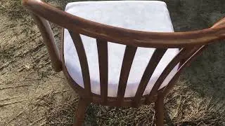 Antonin &Scaron;uman Mid-Century dining chair after restoration.