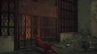 Stray Any% Glitchless Full game attempt PS4