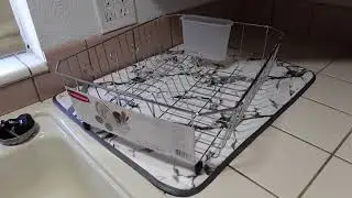 Should You Buy? Rubbermaid Dish Drainer