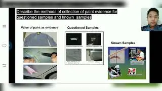 PAINT ANALYSIS.