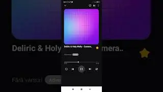 DELIRIC & Holy Molly - CAMERA MEA