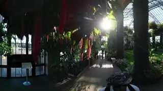 360 4k Longwood Gardens East Conservatory