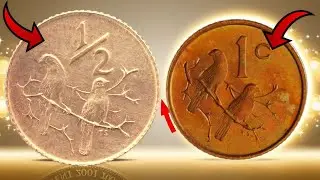 Top 3 South Africa Cents Coins | Rare & Valuable Coins