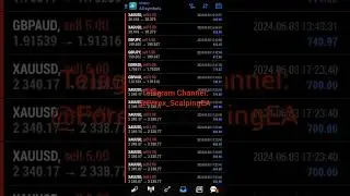 Live Trading Best Forex EA  ( Scalping Robot )  |  Today Results $319,101