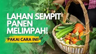 URBAN FARMING DI UJUNG BERUNG KOTA BANDUNG