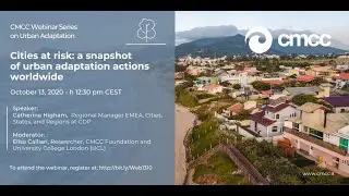 Cities at risk: a snapshot of urban adaptation actions worldwide