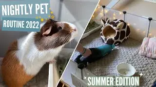 NIGHTLY PET ROUTINE 🌙 | Summer 2022