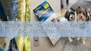 Review TevraPet Activate II Flea and Tick Prevention for Dogs | 4 Count | Medium Dogs 11-20 lbs | To