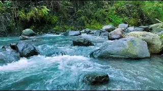Relaxing Forest River Flow Sounds, Nature Water White Noise for Deep Sleep and Meditation