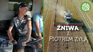 PIOTR ŻYŁA W KOMBAJNIE - KOSI HEKTARY PSZENICY - #140 nawozy nonstop