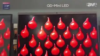 ISE 2025: TCL & Zenithnano Talks About QD-Mini LED vs Normal LED Power Consumption