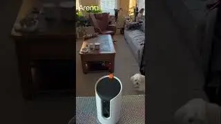 🐾🎥 Arenti Dog Treat Camera Petcam1T &ndash; The Ultimate Pet Companion!🎥#Arenti #Petcam #DogCamera