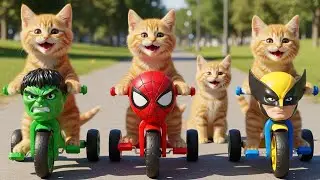 Mama Cat Trims Fur on the Farm and Makes Tiger Hat For Kittens At Home🐾🎩🐯