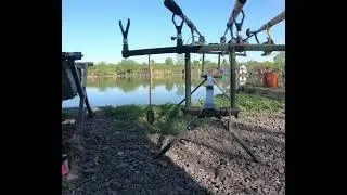 Just on the edge, nature 
