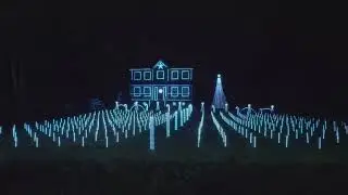 Blue Christmas - Kyan Palmer - 2024 The Anderson's Light Show