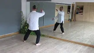 Taichí básico: 