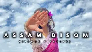 Assam Disom New Santali slow Motion Lofi Song 2026 (slowed + reverb) New Lofi Song 2026