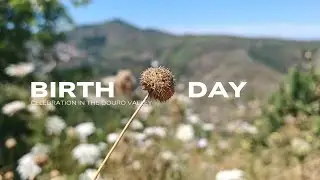 Daily Vlog | a Birthday Celebration 🎈| Douro Valley #quietvlog
