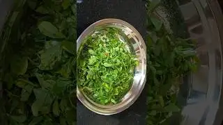 Gujarati Thepla #shorts #gujaratifood #viral