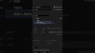 How to Export Transparent Video in After Effects! 🔥